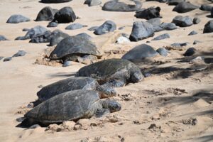 584732660_10162494076638450_7937507613487171528_n