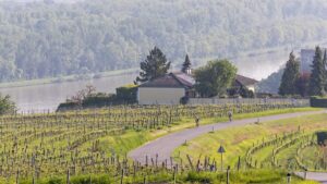 CHALLENGE_ST_POLTEN-24-Large-1200×675